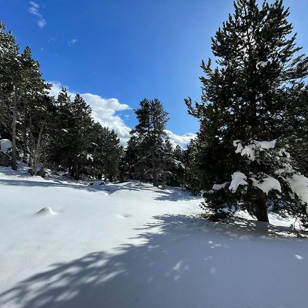 Joli Studio Pres De La Foret Font-Romeu-Odeillo-Via Exterior foto